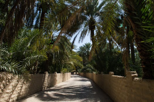 Azure Desert Palaces in United Arab Emirates Abu Dhabi Oasis