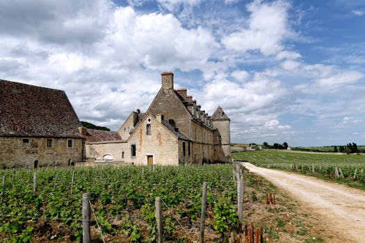 Ethereal Vineyard Villas in France Burgundy Countryside Grandeur