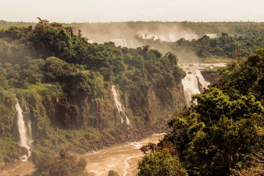 Golden Rainforest Resorts in Brazil Amazon River Canopy Bliss