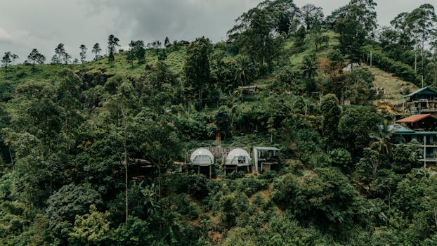 Luminous Rainforest Hotels in Sri Lanka Sinharaja Jungle Grandeur