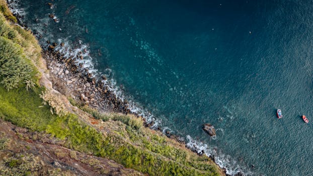 Luminous Seaside Hotels in Portugal Madeira Coastal Bliss