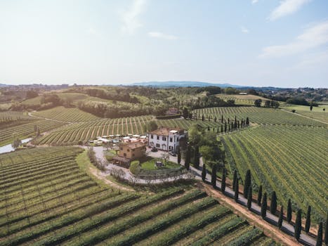 Prestige Countryside Villas in Italy Emilia Romagna Vineyard Retreat