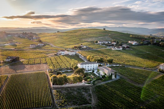 Regal Vineyard Estates in France Champagne Countryside Bliss