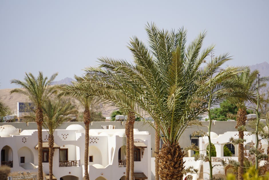 Desert Luxury Hotels in Africa That Redefine Isolation and Comfort
