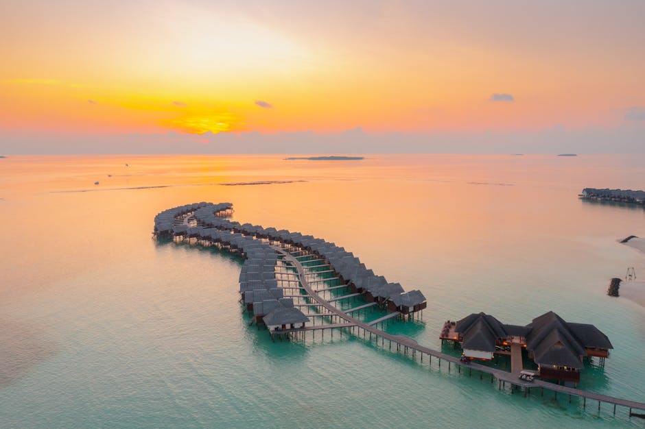 Exclusive Safari Villas Designed for Long-Stay Elite Travelers