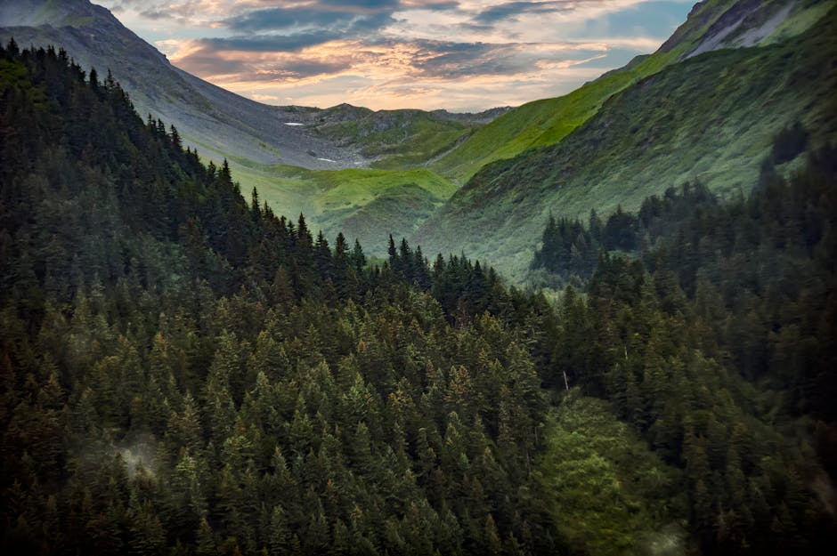Private Mountain Villas in the US for Elite Nature Escapes