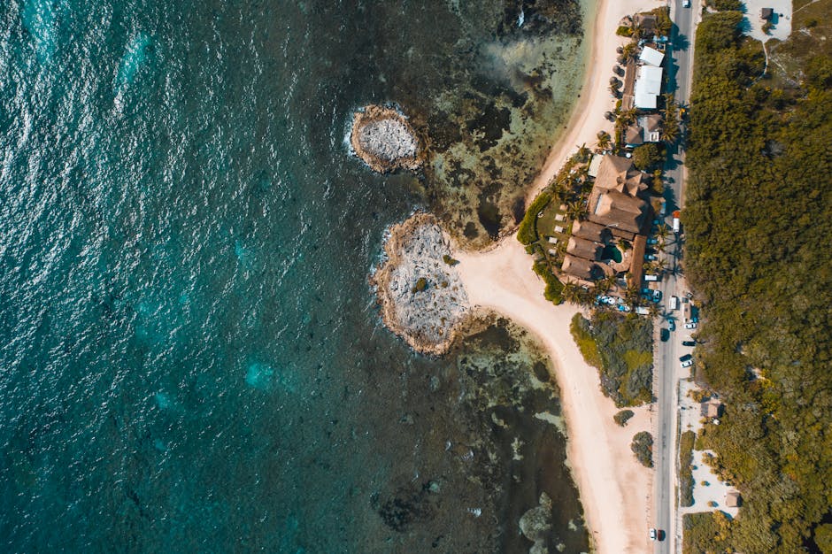 The New Wave of Eco-Luxury Hotels in America