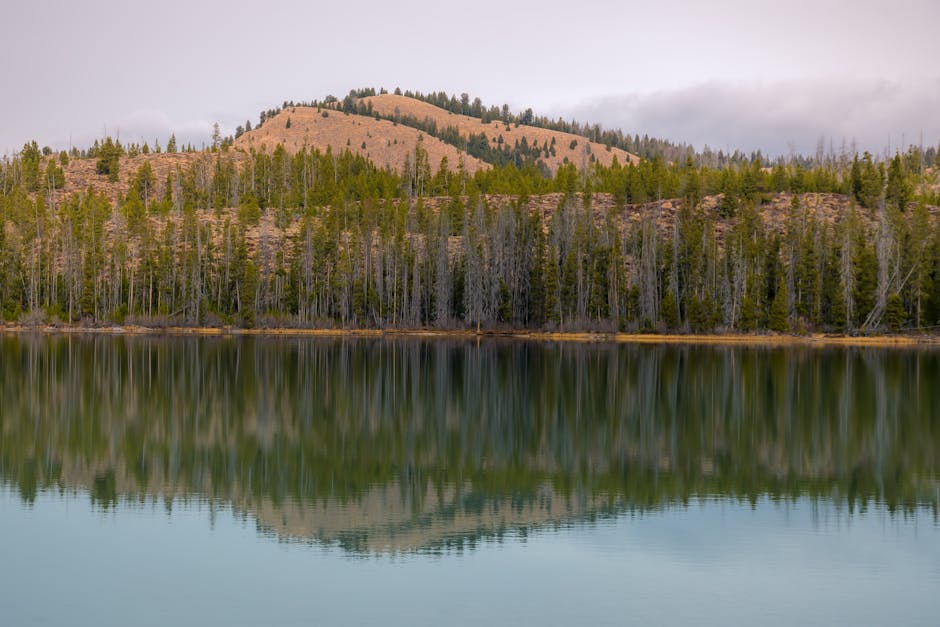 US Mountain Hotels Designed Around Wellness and Stillness