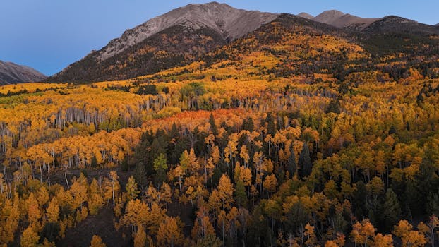 Aspen Mountain Compounds Designed for Billionaire Winter Buyouts