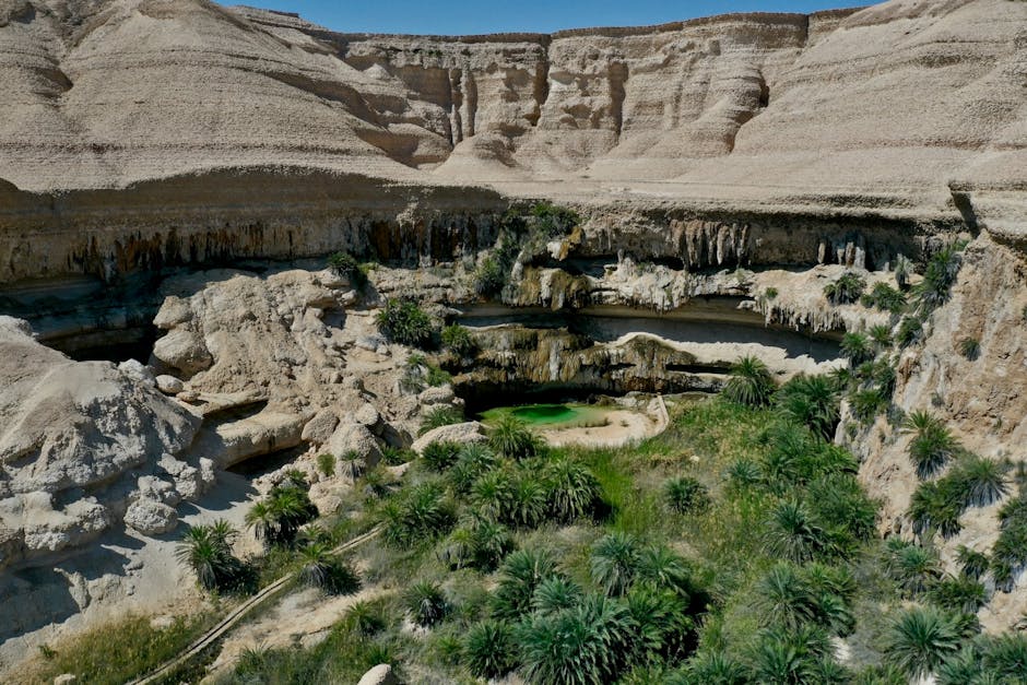 Desert Oasis Palaces Built for Complete Isolation