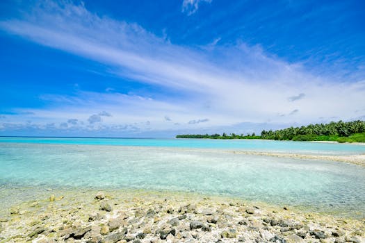Entire-Atoll Ultra-Luxury Buyout Retreats
