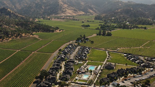 Napa Valley Vineyard Compounds with Full Estate Buyouts