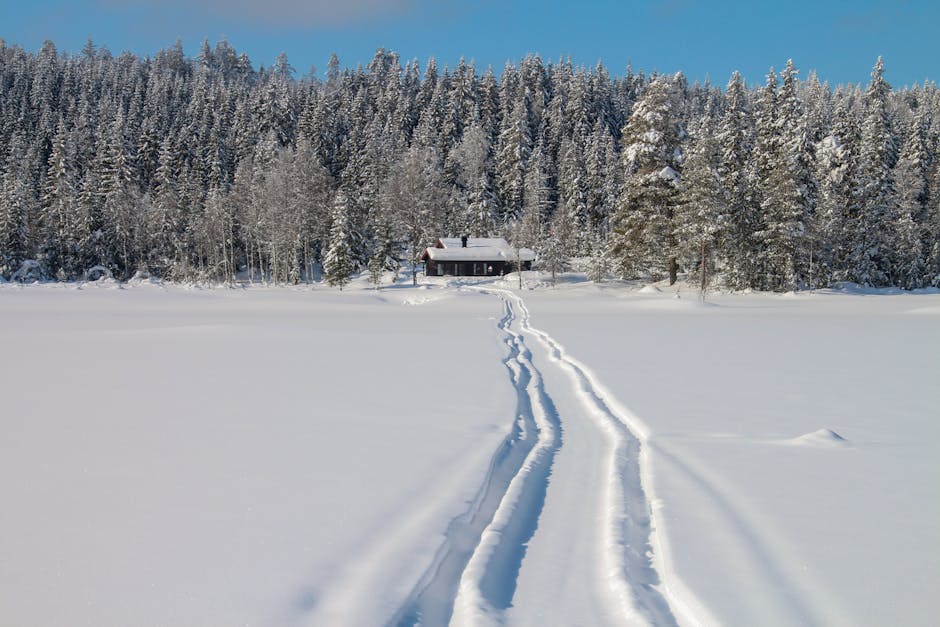 Snowbound Fortress Chalets for Long-Term Winter Living