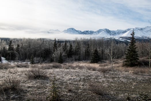 Yukon Wilderness Luxury Ranch Retreats
